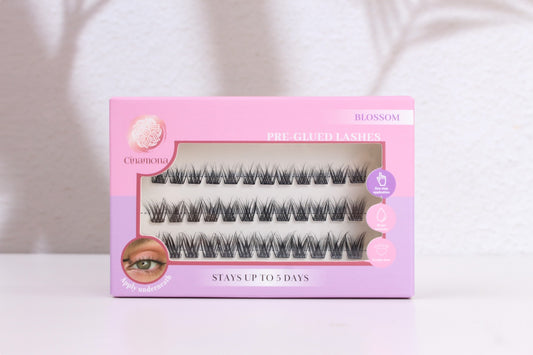 Pre-Glued Lashes | Blossom